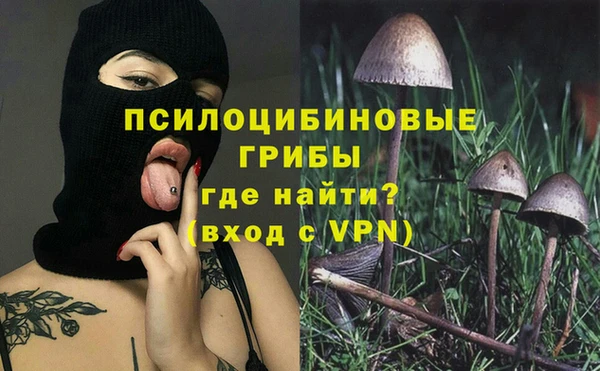 соль ск Абаза