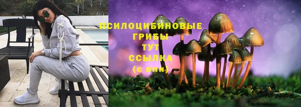 соль ск Абаза